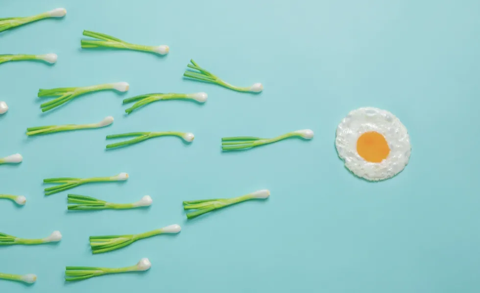 Pory ułozone na kształt plemników "płynące" w stronę jajka imitującego komórkę jajową