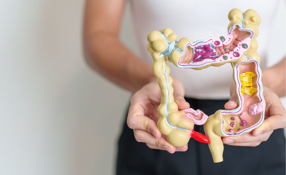 Kobieta trzymająca jelita, model jelit z przekrojem